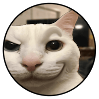 a white cat with a smile on its face